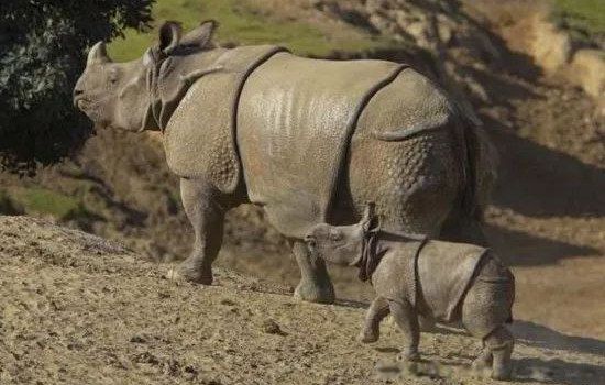 צ��Ϭţ������� �����ִ������Ƕ���