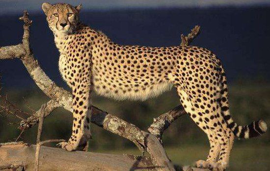 צ��Ϭţ������� �����ִ������Ƕ���