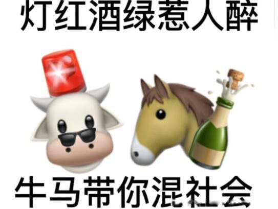 ţ����ʲô��˼�������� �����Ǻôʻ��ǻ���