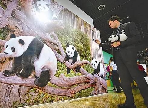大熊猫是国宝的主要原因是什么 为什么是活化石