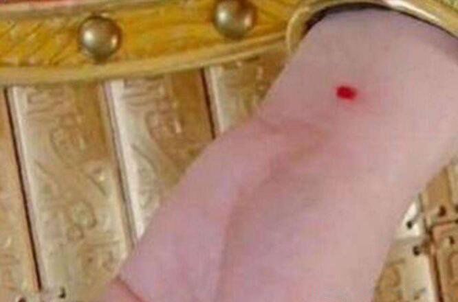 �ع�ɰ��ʲô��˼ �ع�ɰ��ԭ��������ʲô