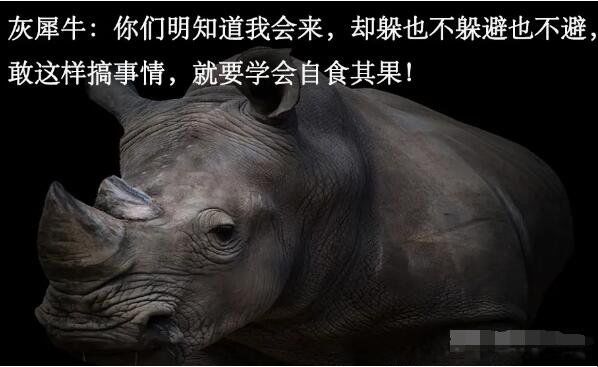 ��Ϭţ�ͺ����ָʲô �¼���������Ͱ���������Щ