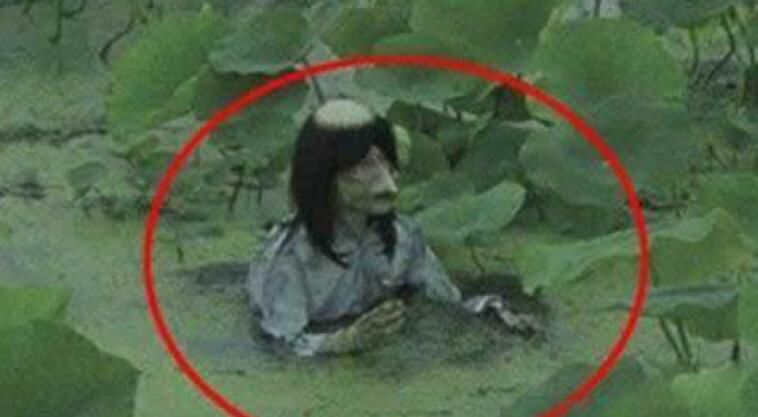 水猴子是什么动物 会拖人下水是真实存在的吗