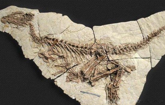 ��ʯ����ô�γɵļ򵥵�Ĵ� �о���������ʷ����Ҫ����