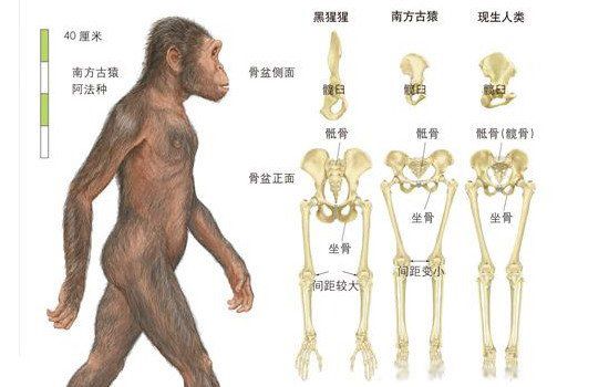 ��ʯ����ô�γɵļ򵥵�Ĵ� �о���������ʷ����Ҫ����