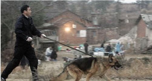 �й�ʮ����ɱ����ʵ���� ��ʵ��ɱ�����Ĺ��¸���