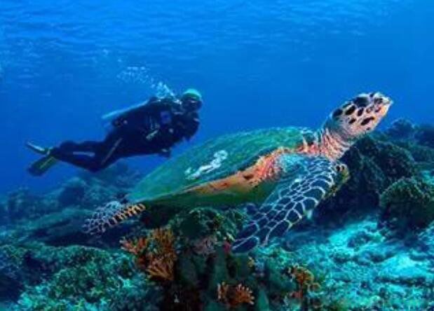 �ĸ����������С ���������С�ĺ������ĸ�