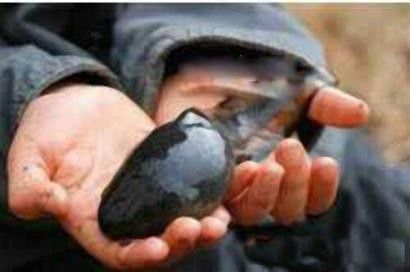 �������ܳ�ʲô����ͼƬ ��򽲻������ΪʲôԽ��ԽС