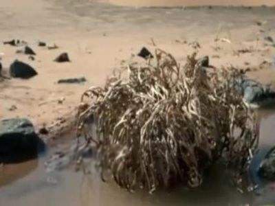 �������ܳ�ʲô����ͼƬ ��򽲻������ΪʲôԽ��ԽС