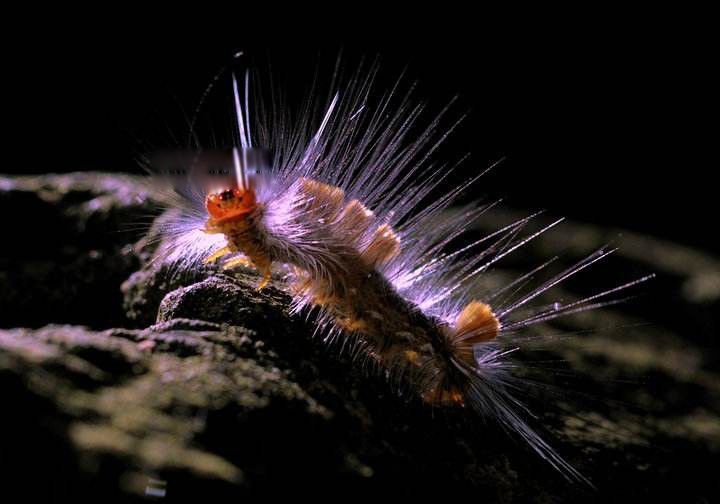 �������ܳ�ʲô����ͼƬ ��򽲻������ΪʲôԽ��ԽС