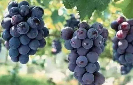 �����������ֹ� �̵��Ϸ���õ�����ˮ��