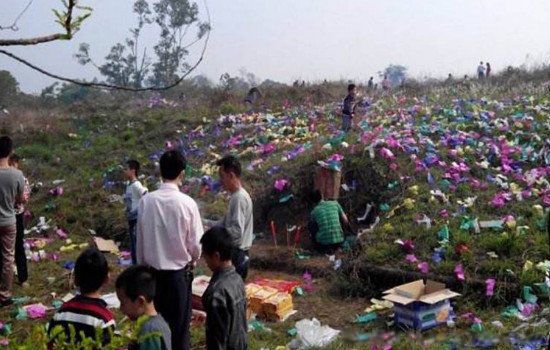 �����������ֹ� �̵��Ϸ���õ�����ˮ��