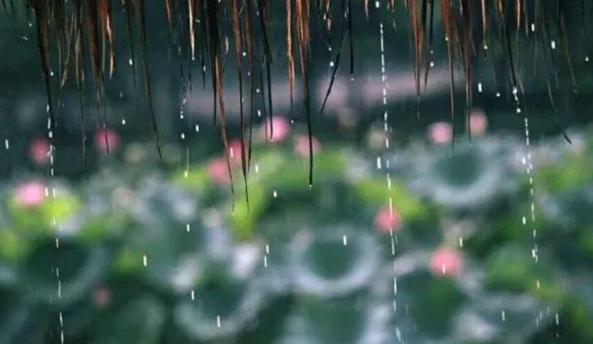 ÷�꼾���Ǽ��·ݵ����·ݽ��� �ҹ�÷�꼾����ʲôʱ��