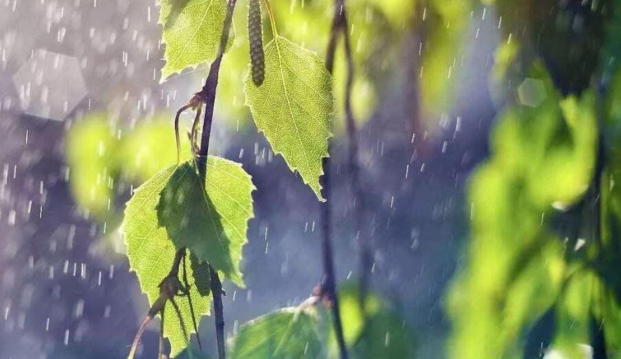 ÷�꼾���Ǽ��·ݵ����·ݽ��� �ҹ�÷�꼾����ʲôʱ��