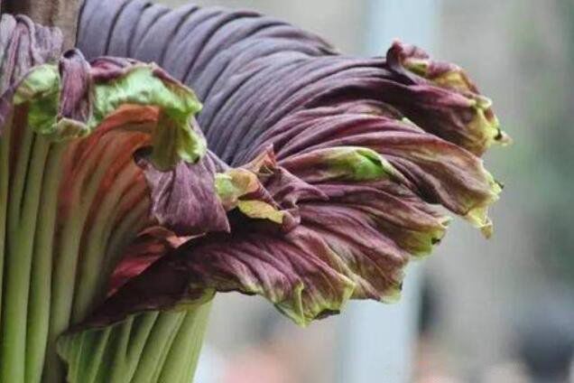 ���ϲ������ԭ����ʲô�� ��ǰ��Ĵ�����