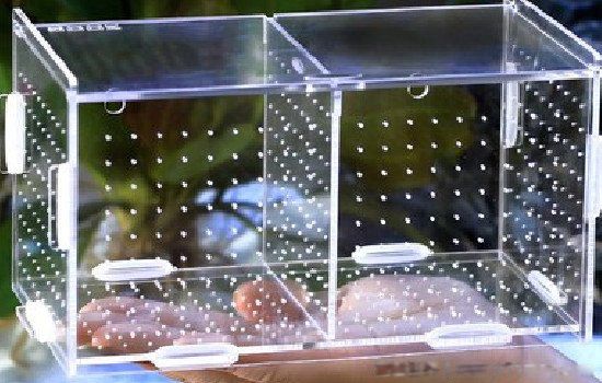 �ڹ�Ϊɶ������˫�� Ϊʲô���ڹ���������˫