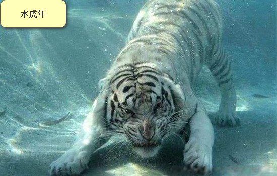 2022������������ʲô��˼ Ϊʲô˵2022����������