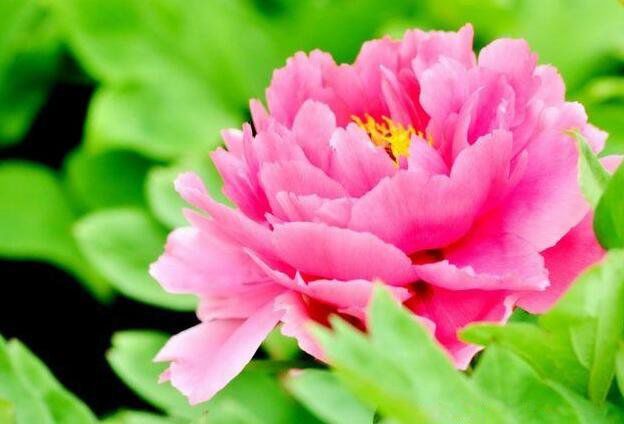 ʮ����������Щ�� �й��������а�ǰʮ��