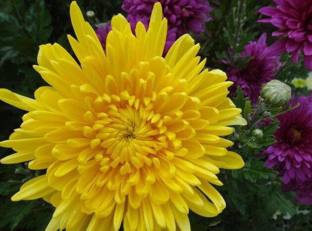 ʮ����������Щ�� �й��������а�ǰʮ��