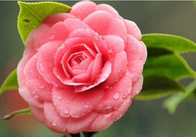 ʮ����������Щ�� �й��������а�ǰʮ��