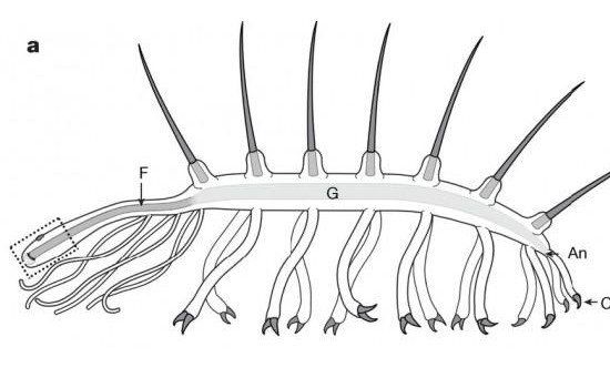 �����ľ��˹ֵ�����ʲô �ֵ���һֱ�ڰ���������