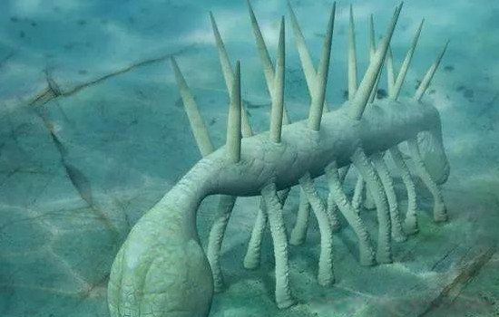 �����ľ��˹ֵ�����ʲô �ֵ���һֱ�ڰ���������