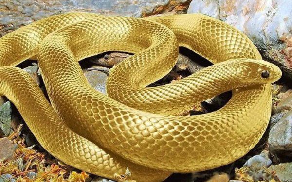 2022�그̫������� �Լ���̫��Ľ��ɻ��ⷽ��