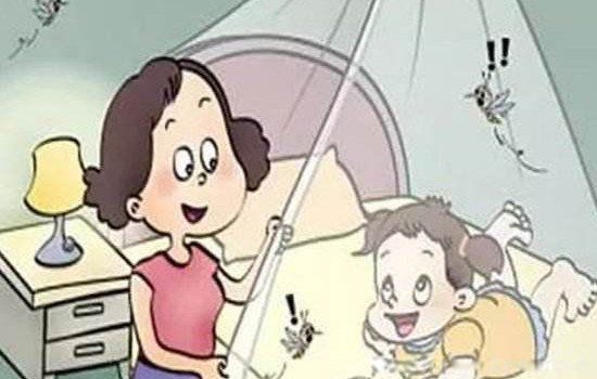 蚊子一共有多少颗牙齿 有22颗牙齿什么意思