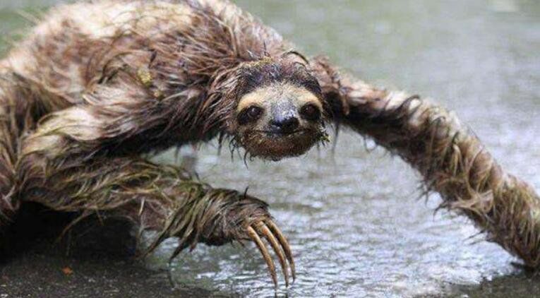 ˮ������ʲô���� ����ˮ������Ƭˮ��������