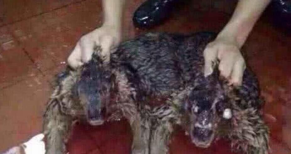 ˮ������ʲô���� ����ˮ������Ƭˮ��������