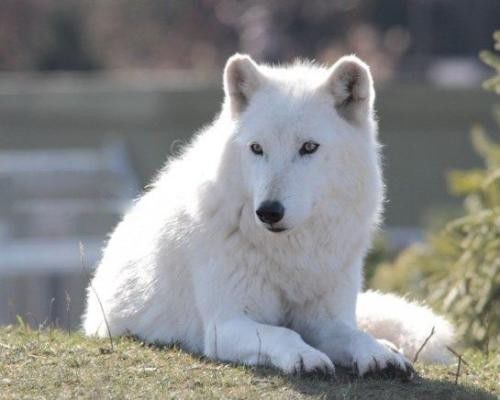 ī������������� �ǹ��ұ���������