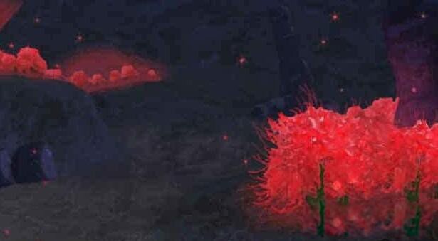 �������ȥ���� �����ֻصĹ�����ʲô