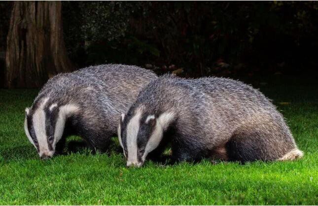 ⪵�����ʲô���� ������³Ѹ�Լ��������