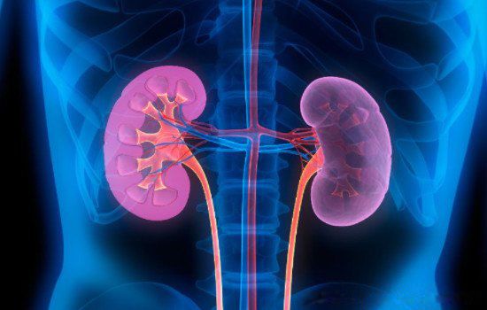 ָ����������ô���� �������԰�͹��ƽԤʾʲô����