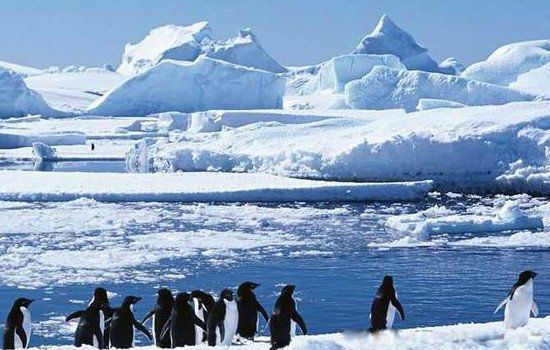 5������4���� �ϴ���Ϊ�����������������