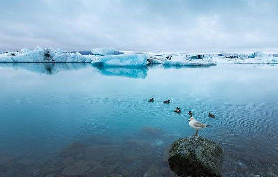 5������4���� �ϴ���Ϊ�����������������