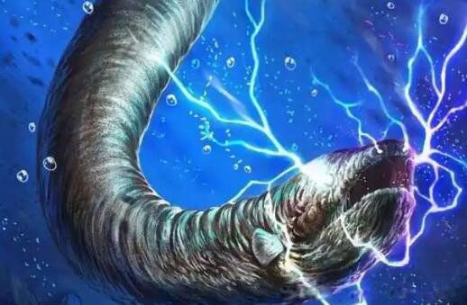 ʳ����������ʲô �Ĵ���о��о�̡