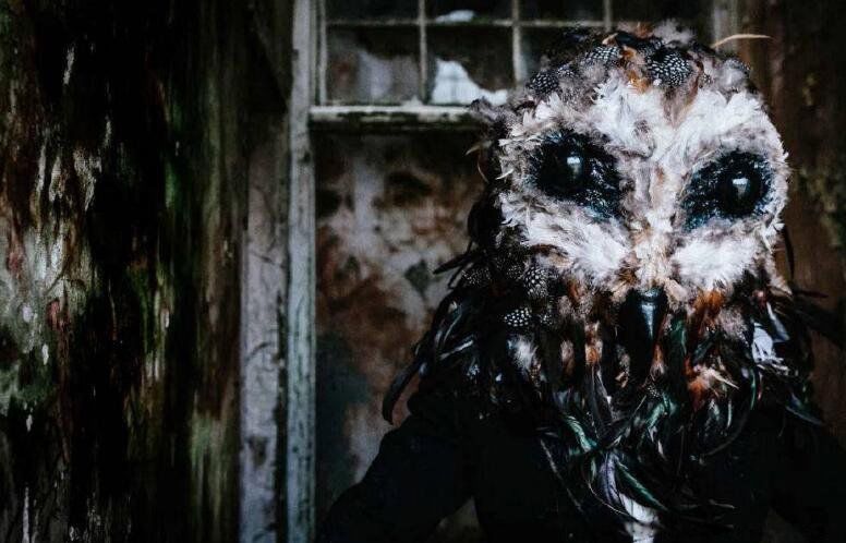 鸮人目击事件 怪物人面鸮是真实存在的吗