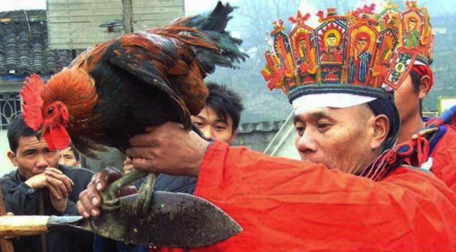 湘西定鸡术大揭秘 定鸡术具体方法是什么原理