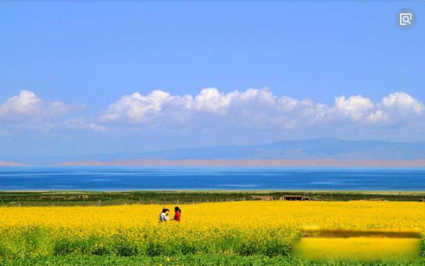 最大的咸水湖位于哪个省 青海湖是我国最大的咸水湖面积多大