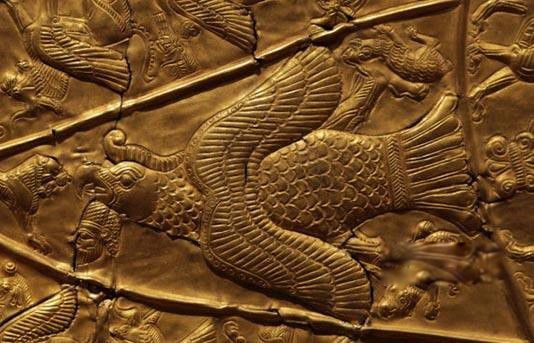 �������˷�����ʲô���� ��ʲô�������й���DNA���