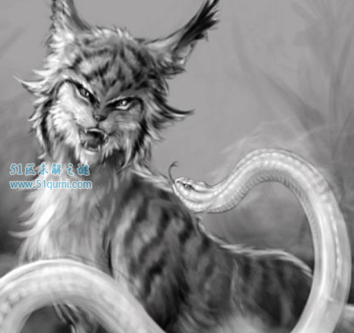 �����ô������ʲô��˼ �����Ĵ�����