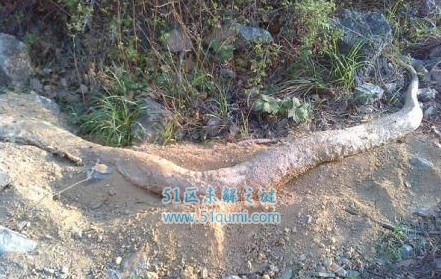 �����ô������ʲô��˼ �����Ĵ�����