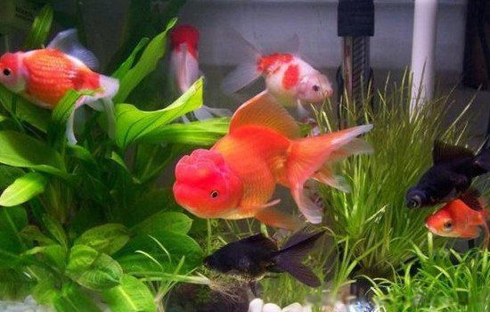 �����������ù��ڷ�ˮ ��������һ��������Ϊ�õ�������˫��