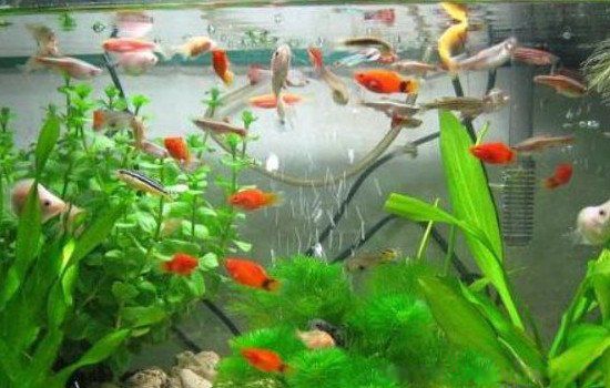 �����������ù��ڷ�ˮ ��������һ��������Ϊ�õ�������˫��