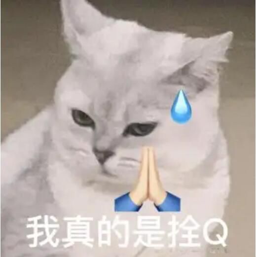 ˨qʲô��˼ ��лл�����ε���˼