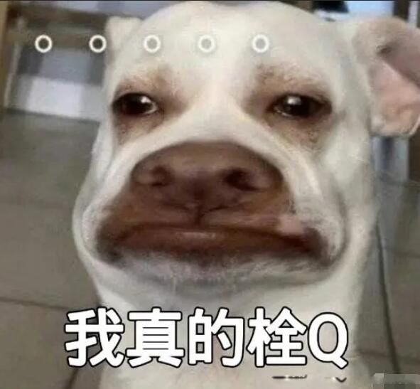 ˨qʲô��˼ ��лл�����ε���˼