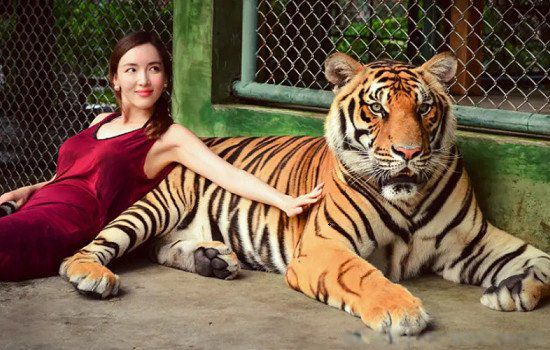 2022����������ʲô�� ������ò���������ô��