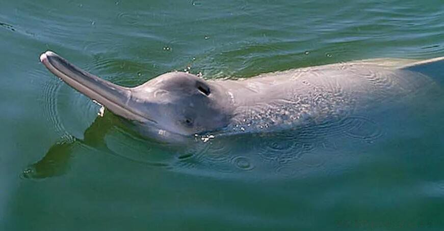 ���������й��ƺӻ��ǳ������еĹ��� �������������