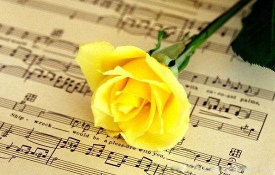 ��õ�廨���׼ȷ��˼ �����������������Щ